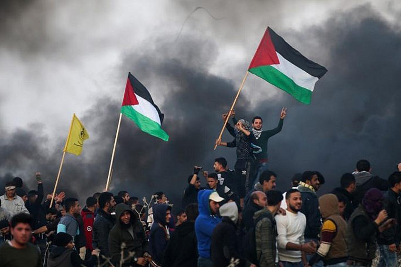 4 martyrs in Gaza 316 injured 4 martyrs in Gaza 316 injured
